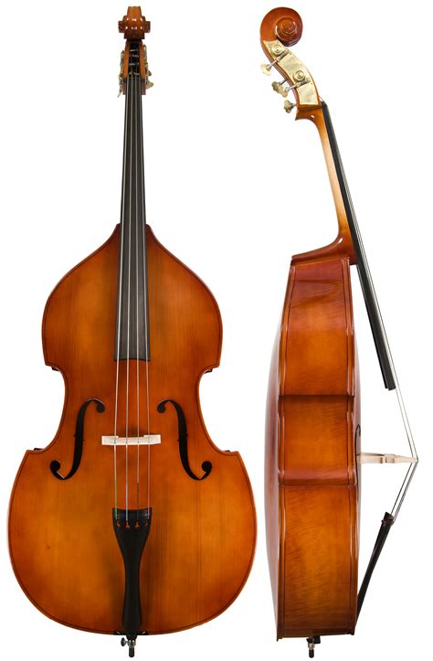 Collection Of Upright Bass Png Pluspng The Best Porn Website