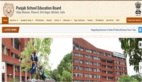 Pseb 12th Result 2022 Declared Know How To Check Punjab Board Class