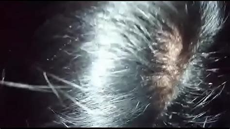 Alejandra Rojas Search Xvideos