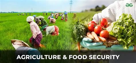 Agriculture And Food Security Geeksforgeeks