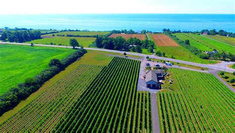 Best Wineries In Prince Edward County Alosim