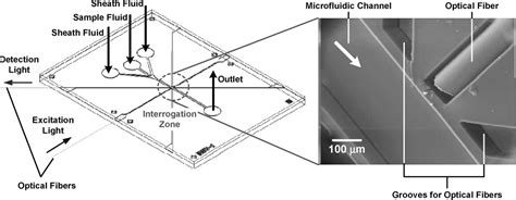 Figure 1 From Pdms Based Opto Fluidic Micro Flow Cytometer With Two