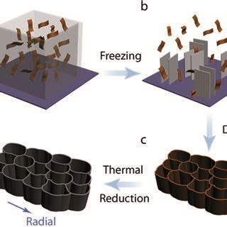 Sem Images Characterizing The Morphology Of Graphene Aerogels Assembled