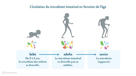 Microbiote intestinal et santé cours Seconde SVT SchoolMouv