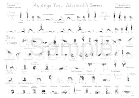 Ashtanga Yoga Advanced A Series Poster – Asta Caplan