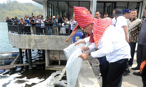 Peringati Hari Lingkungan Hidup Sedunia Edy Rahmayadi Tanam Pohon