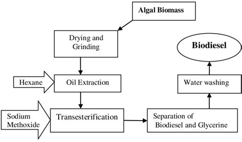 Steps Involved In The Biodiesel Production From Algal Biomass