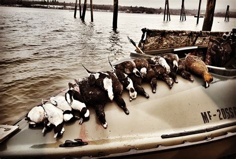 Sea Duck Hunting - Marsh River Outfitters