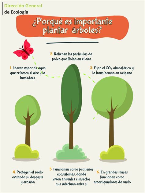 Details 48 Por Qué Es Importante Plantar árboles Abzlocal Mx