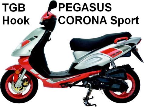 D Se Vergaser Pegasus Ccm Sky Corona R X Tgb Ccm Pegasus Tgb