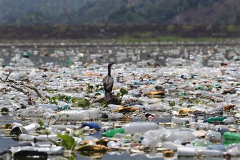 El lago más grande de El Salvador inundado por basura Construyen País