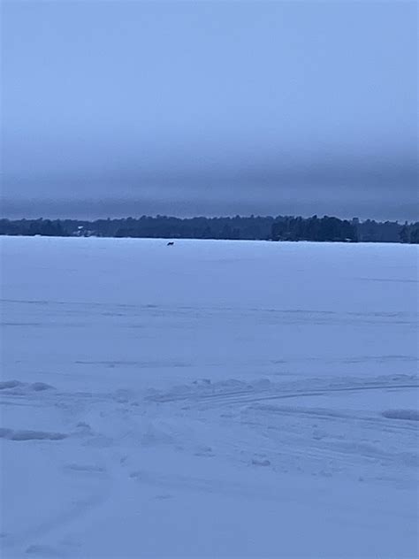 2022 23 Lake Vermilion Ice Fishing Reports Vermilion Pelican Lake