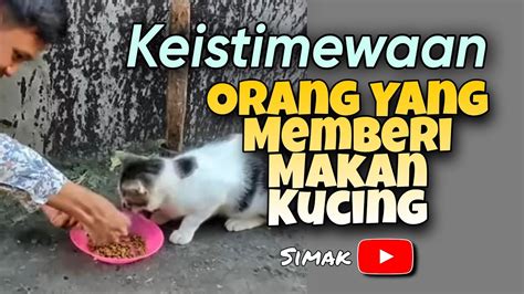 Keistimewaan Orang Yang Memberi Makan Kucing Youtube