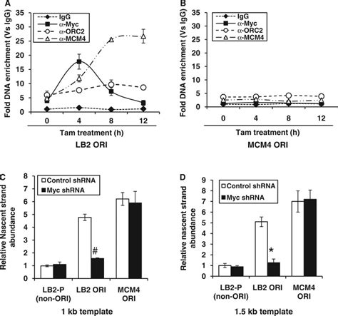 Locus Specific Loading Of MCM4 Helicase Protein In The Presence Of