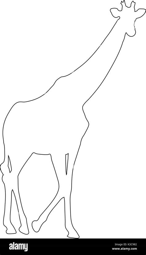 Baby Giraffe Silhouette Outline