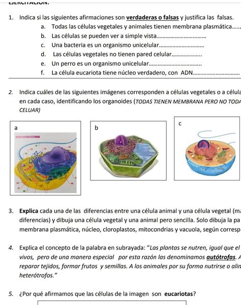 Me Ayudan Indica Si Es Verdadero O Falso Y Justifica Las Falsas