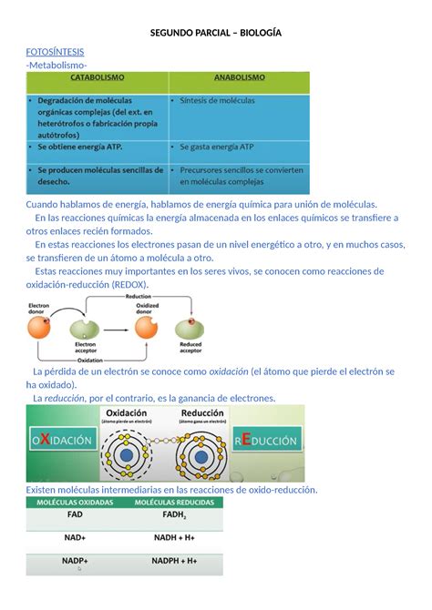 RESUMEN SEGUNDO PARCIAL BIOLOGÍAS CELULAR SEGUNDO PARCIAL