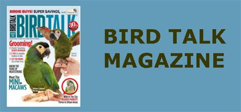 Bird In Everything: Bird Magazines