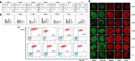 Stemness Characterization Of Ipscs Generated From Normal Donor