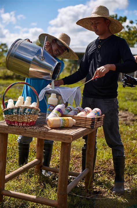 Carabao Milk | Cagayan Tourism