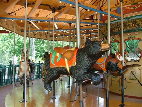 Black Bear Zoo Photos Carosel Horse Animals Wild