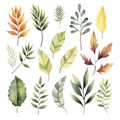 Premium Vector Vector Hand Drawn Watercolour Floral Leaves