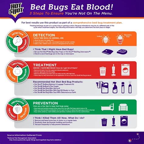 Hot Shot Bed Bug And Flea Killer 17 5 Oz Aerosol Spray HG 96114 2 The Home Depot