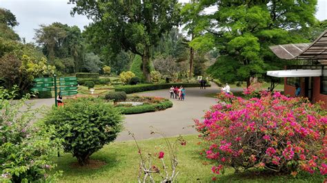 Kandy Royal Botanic Gardens : Sri Lanka | Visions of Travel