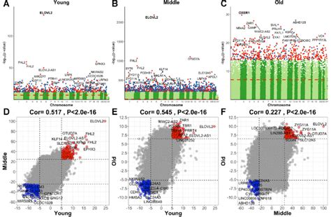 Epigenome Wide Association Study Ewas Of Age In 3 Different Age