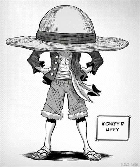 Imagine if Luffy got that hat! That’s a BIG hat! - gary ye's drawing ...