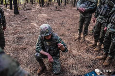 练兵正当时，训练场上的“领头羊”腾讯新闻