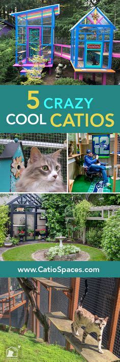 outdoor cat jungle gym for indoor cats | Outdoor cat tunnel, Outdoor ...