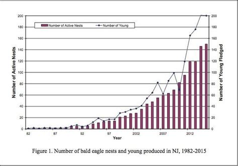 8 facts you didn't know about N.J.'s rebounding bald eagle population