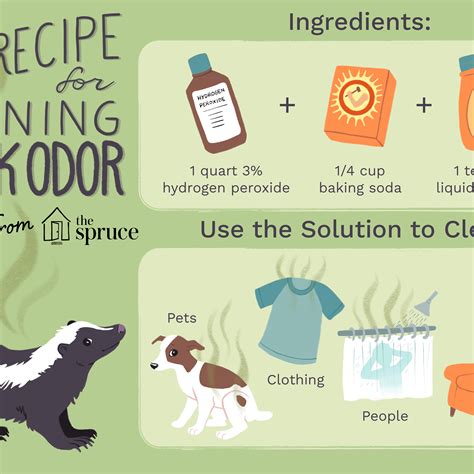 Recipe For Skunk Smell Removal From Dog | Bryont Blog