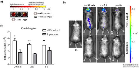 RHDL RApoJ And Liposome Biodistribution In C57 BL6 Mice A IVIS