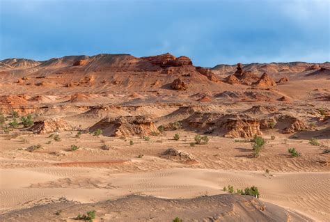 New Species Of Mongolian Dinosaur Found In The Gobi Desert