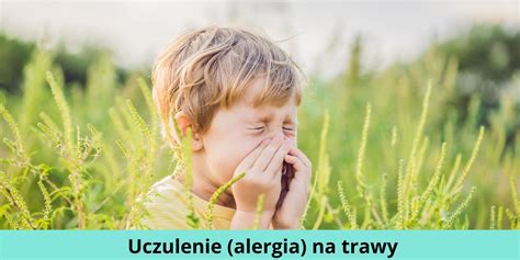 Uczulenie Alergia Na Trawy Objawy Jak Leczy