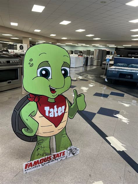 Famous Tate Port Richey