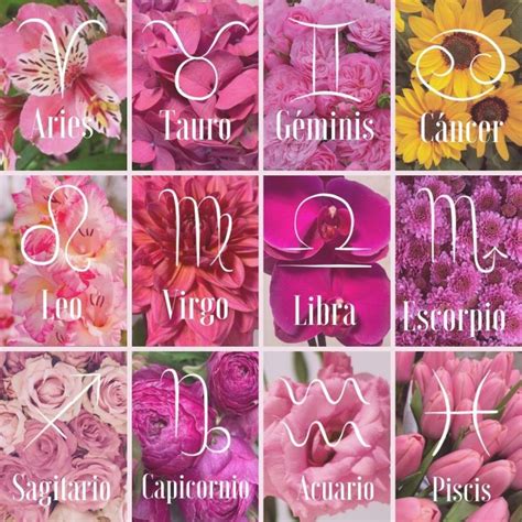 Descubre Que Flor Eres SegÚn Tu HorÓscopo Blog Del Florista