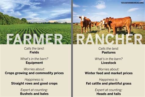 Ranch Vs Farm Unveiling Key Differences Farmvina