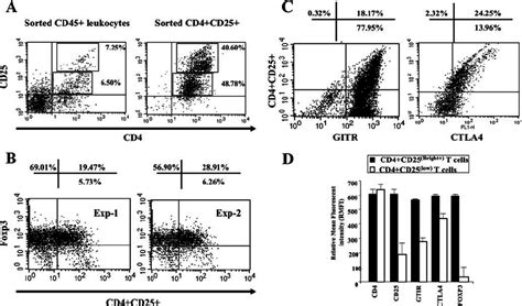 Normal Conjunctiva Cd Cd T Cells Exhibit Phenotypic