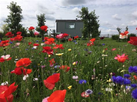 Overzicht Van Diverse Pluktuinen In Nederland Fruit And Bloemen Plukken