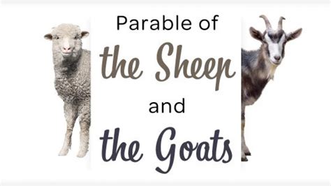 The Parable Of The Sheep And The Goats – Gratia Community Church