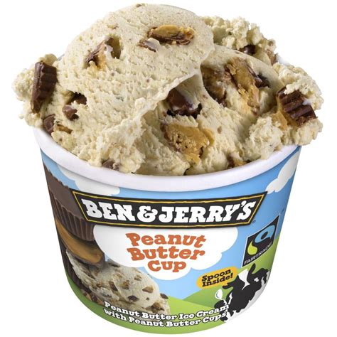 Ben And Jerrys Peanut Butter 12x 100ml