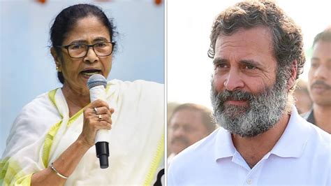 Rahul Gandhi Is Bjps Biggest Asset Mamata Banerjee Makes Sharp