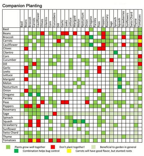 Vegetable & Herb Garden Companion Planting Guide | Organica: Garden ...