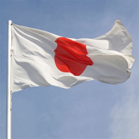 learn japanese     japanese words  phrases
