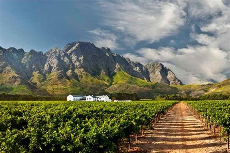 Tripadvisor Cape Town Winelands Full Day Tour Cape Town Central