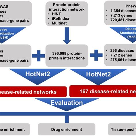 Data Processing Pipeline For Systems Geneticsbased Disease Network