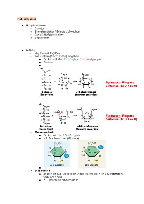 Biochemie Und Mikrobiologie V Kohlenhydrate Hauptfunktionen